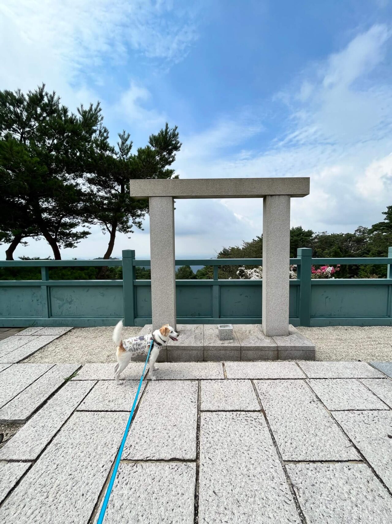 摩耶山天上寺