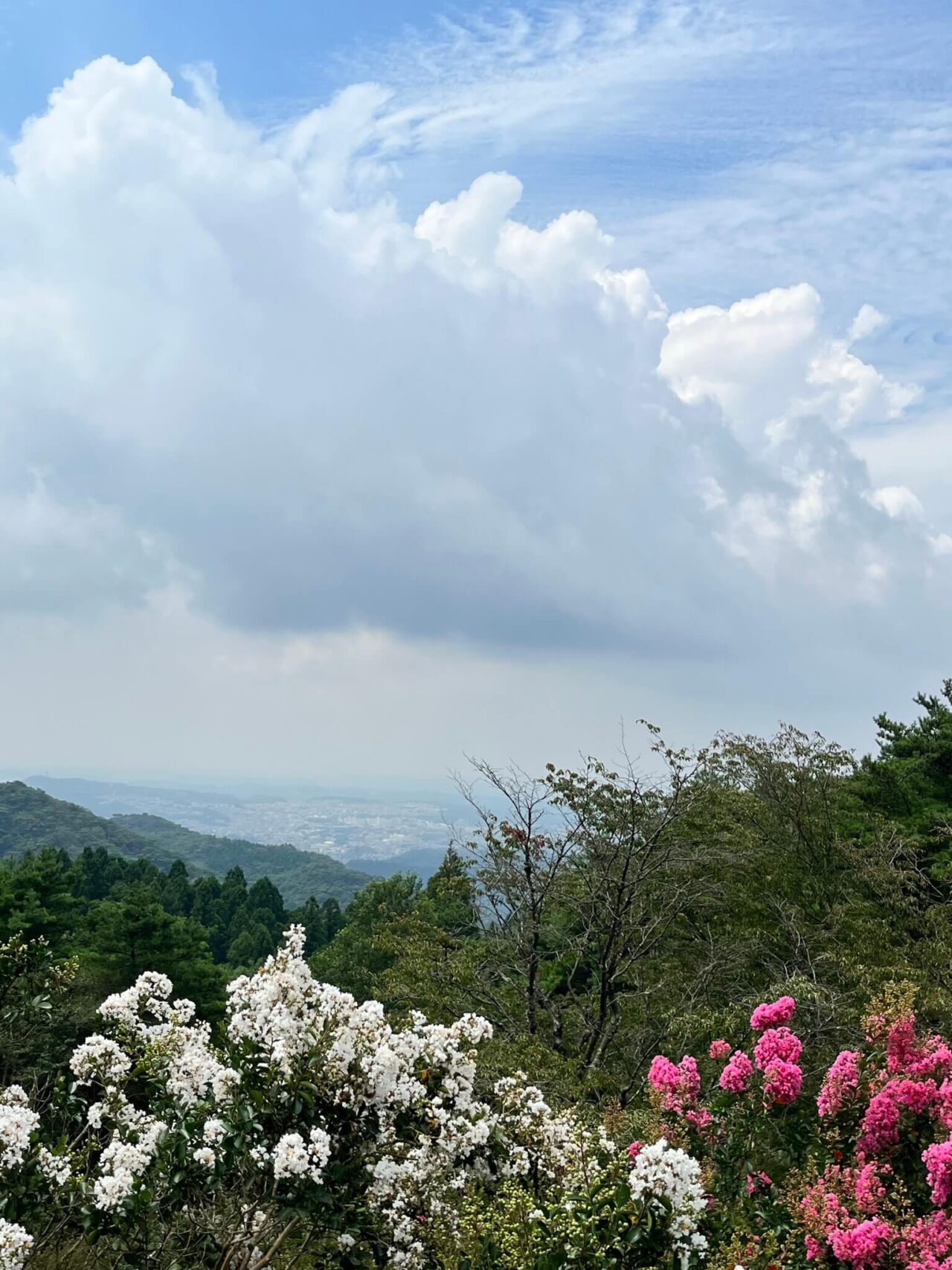 摩耶山天上寺