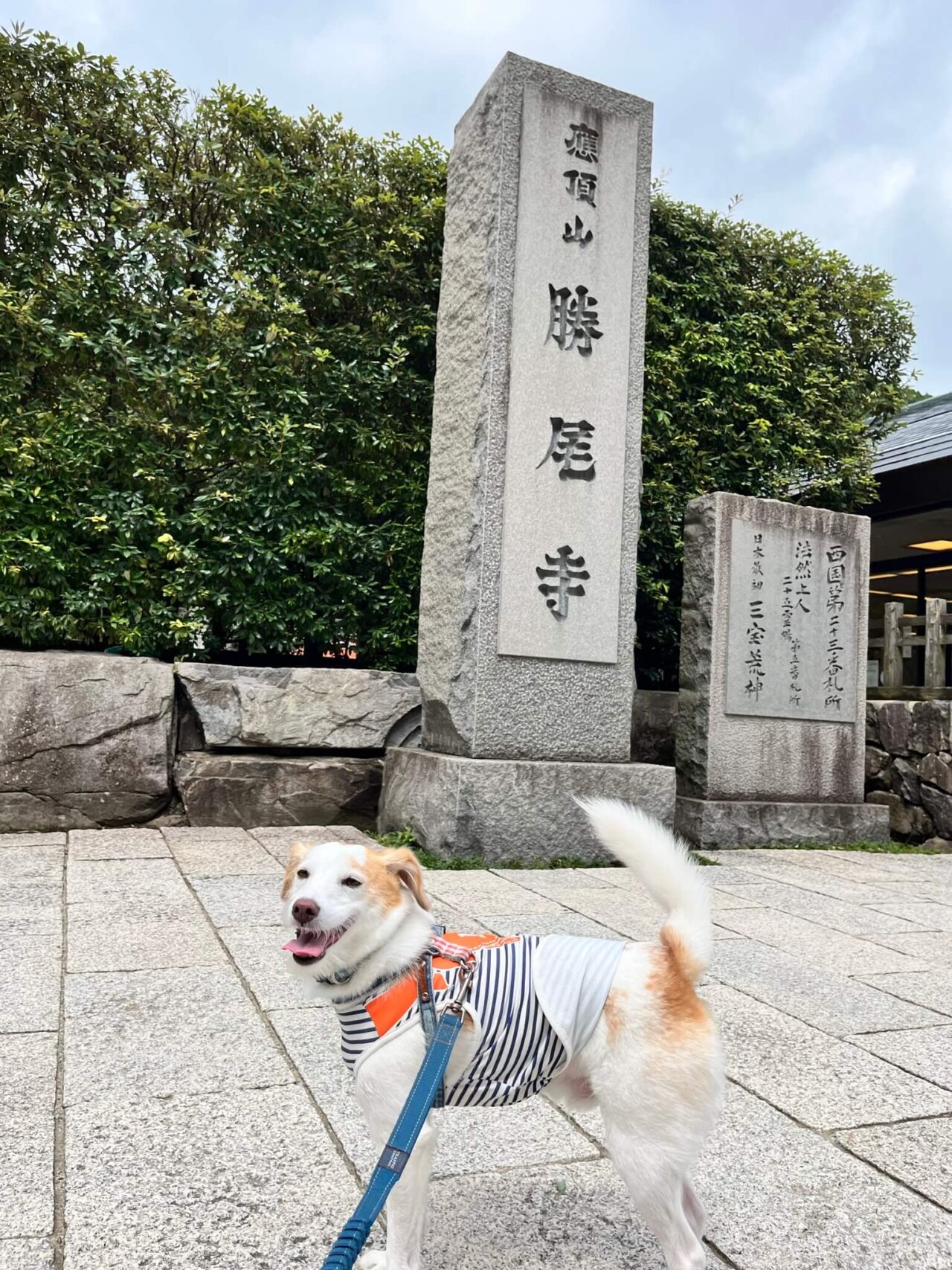 箕面勝尾寺