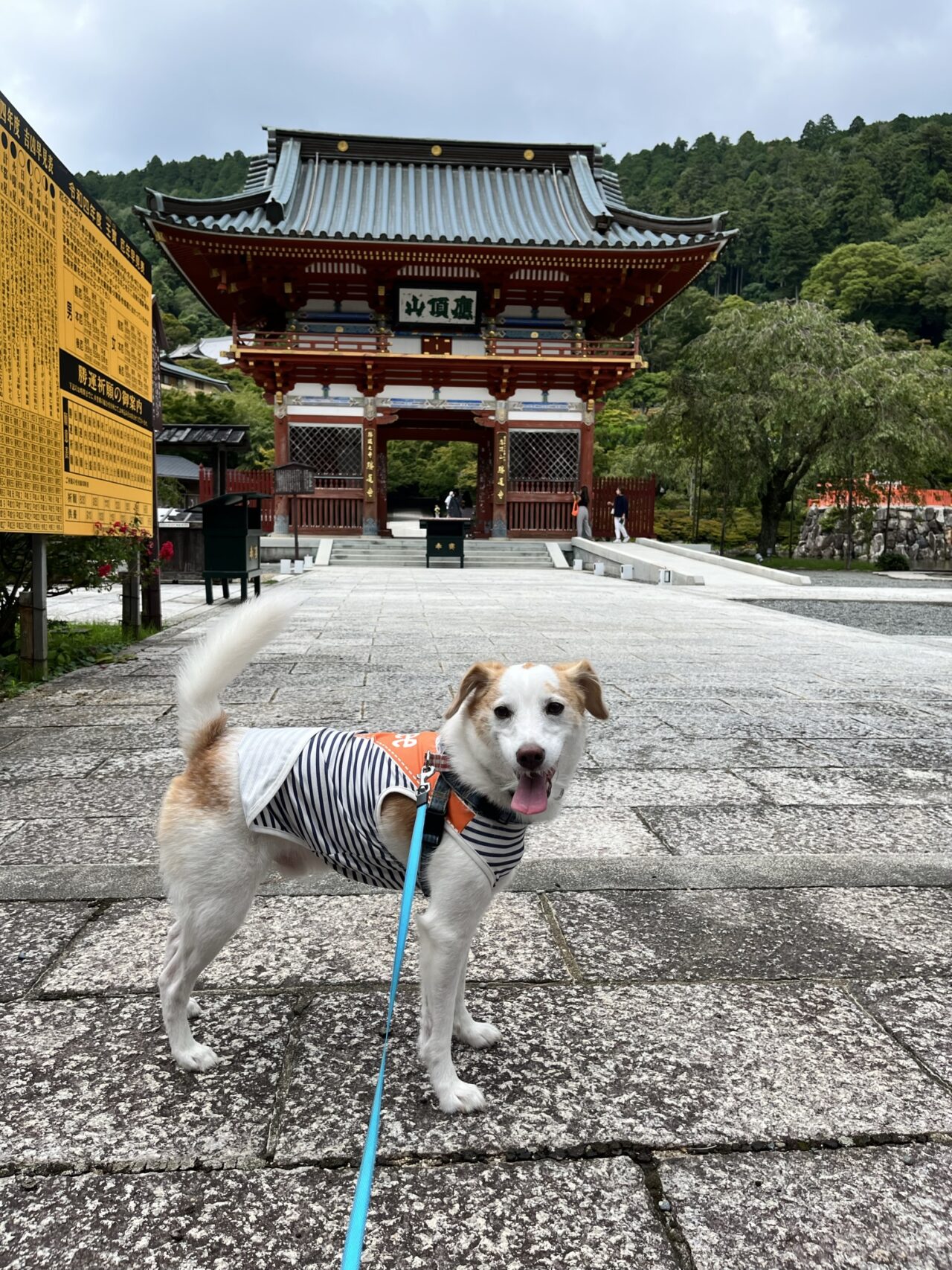 勝尾寺