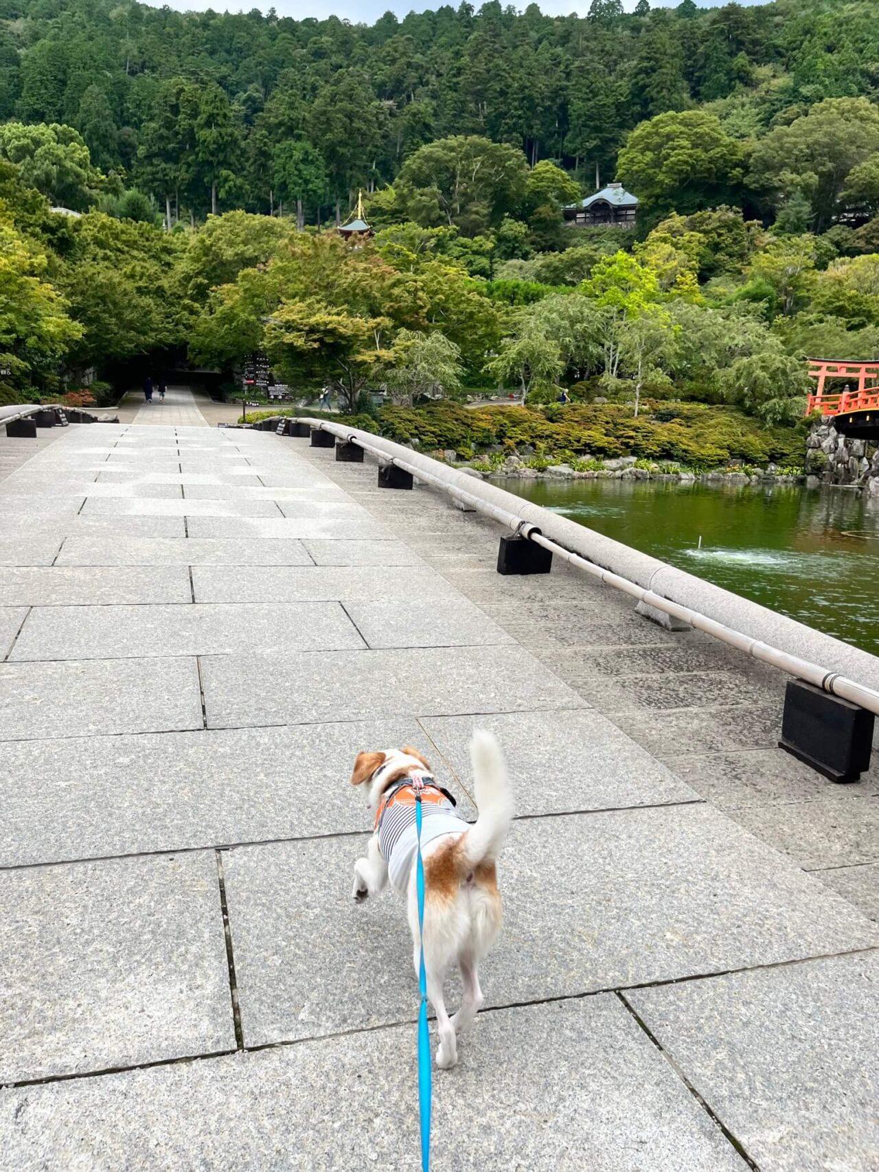 箕面勝尾寺