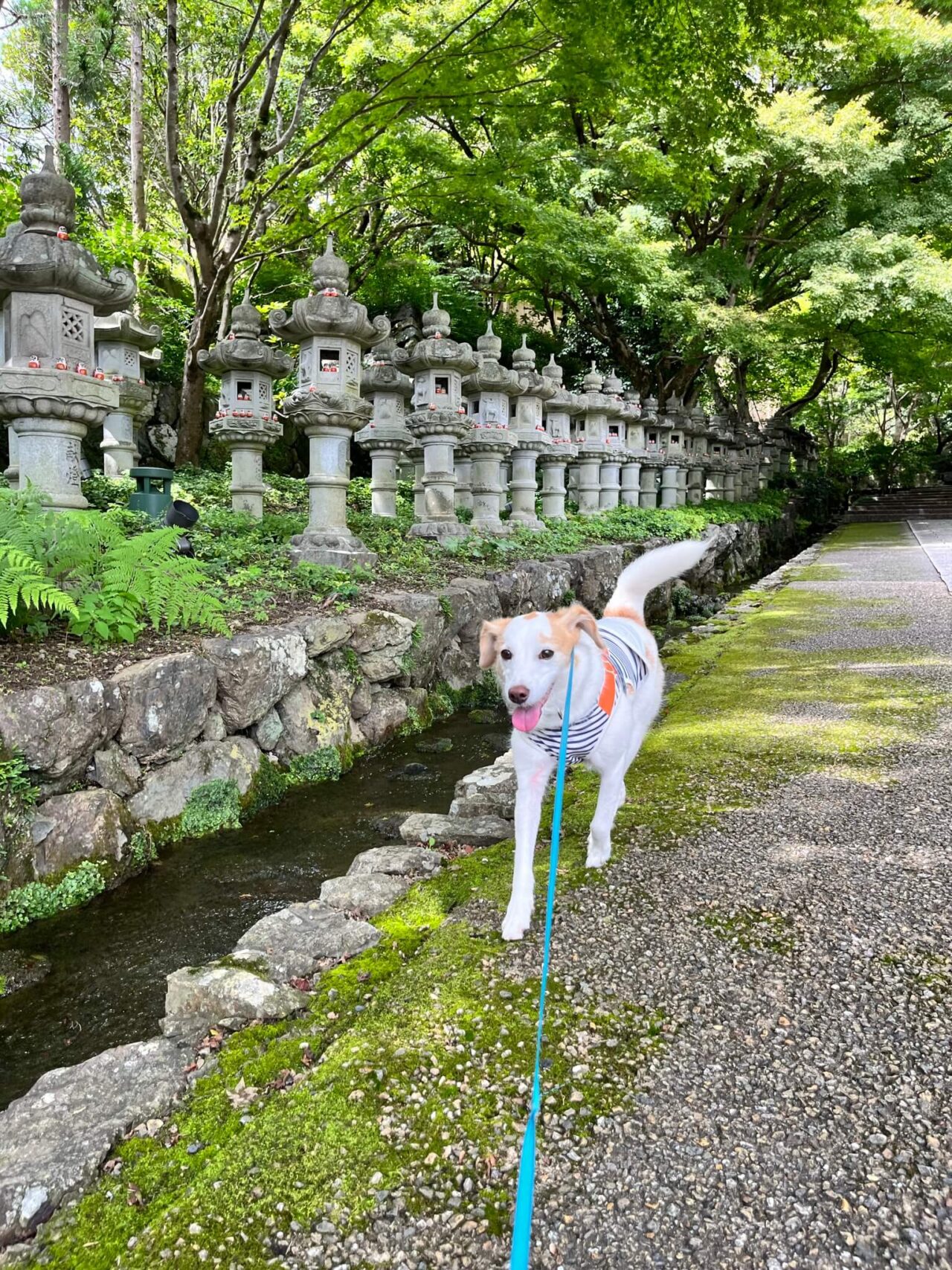 箕面勝尾寺