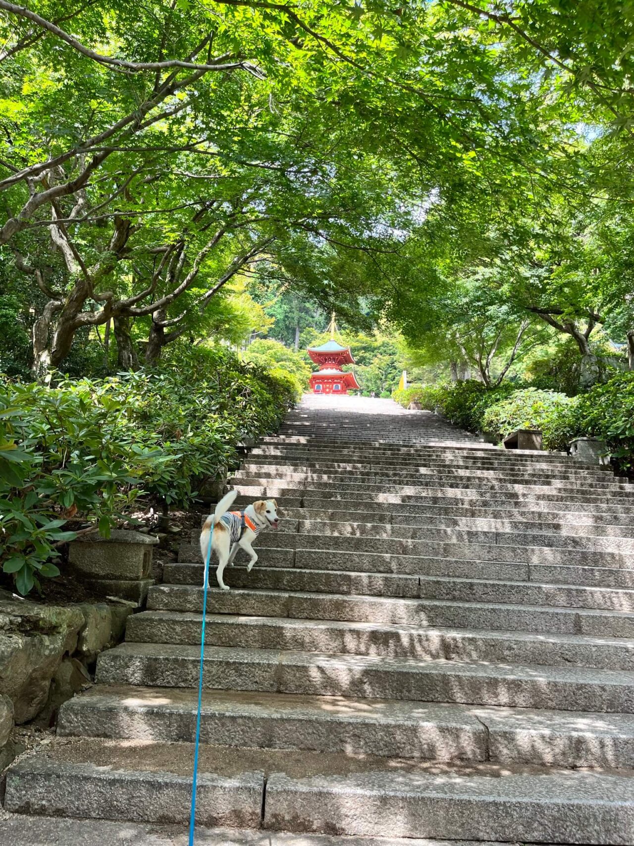 箕面勝尾寺