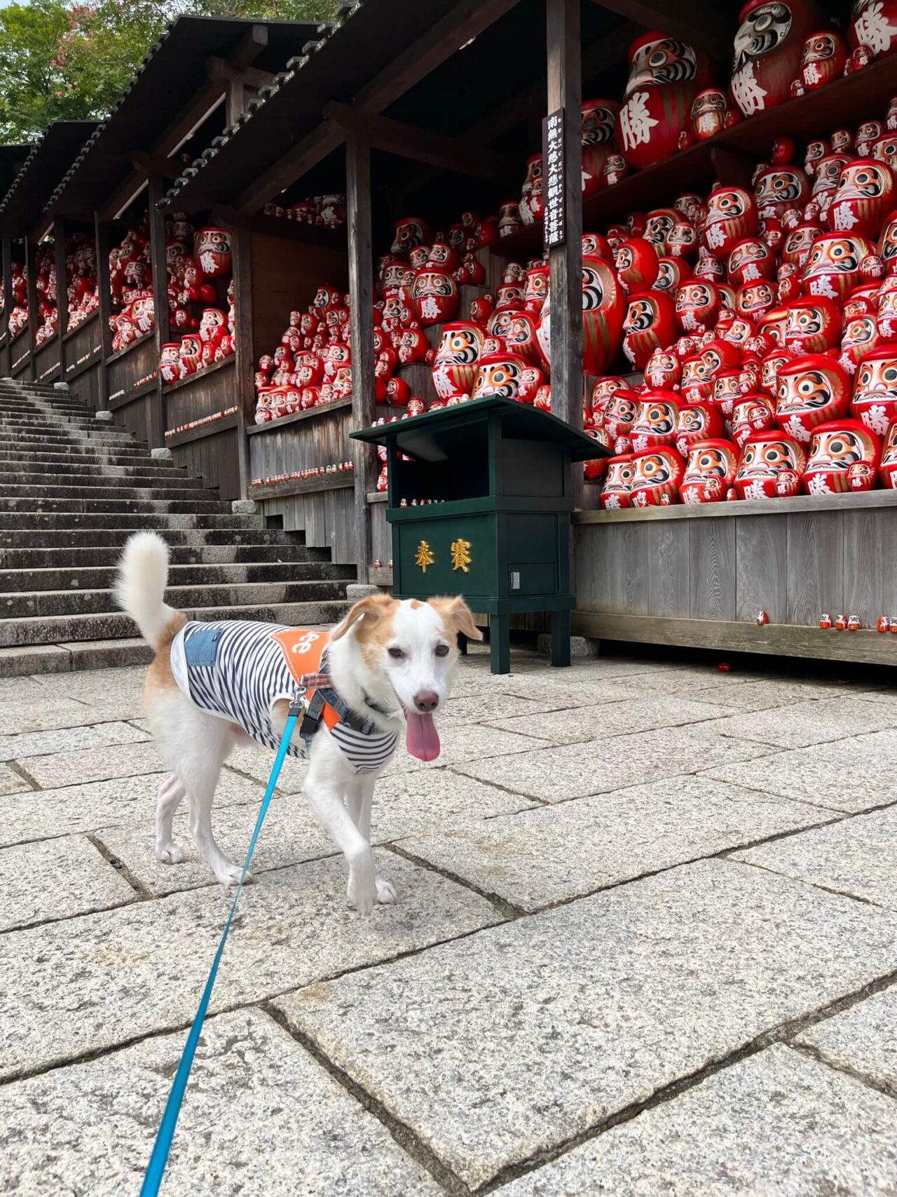 箕面勝尾寺