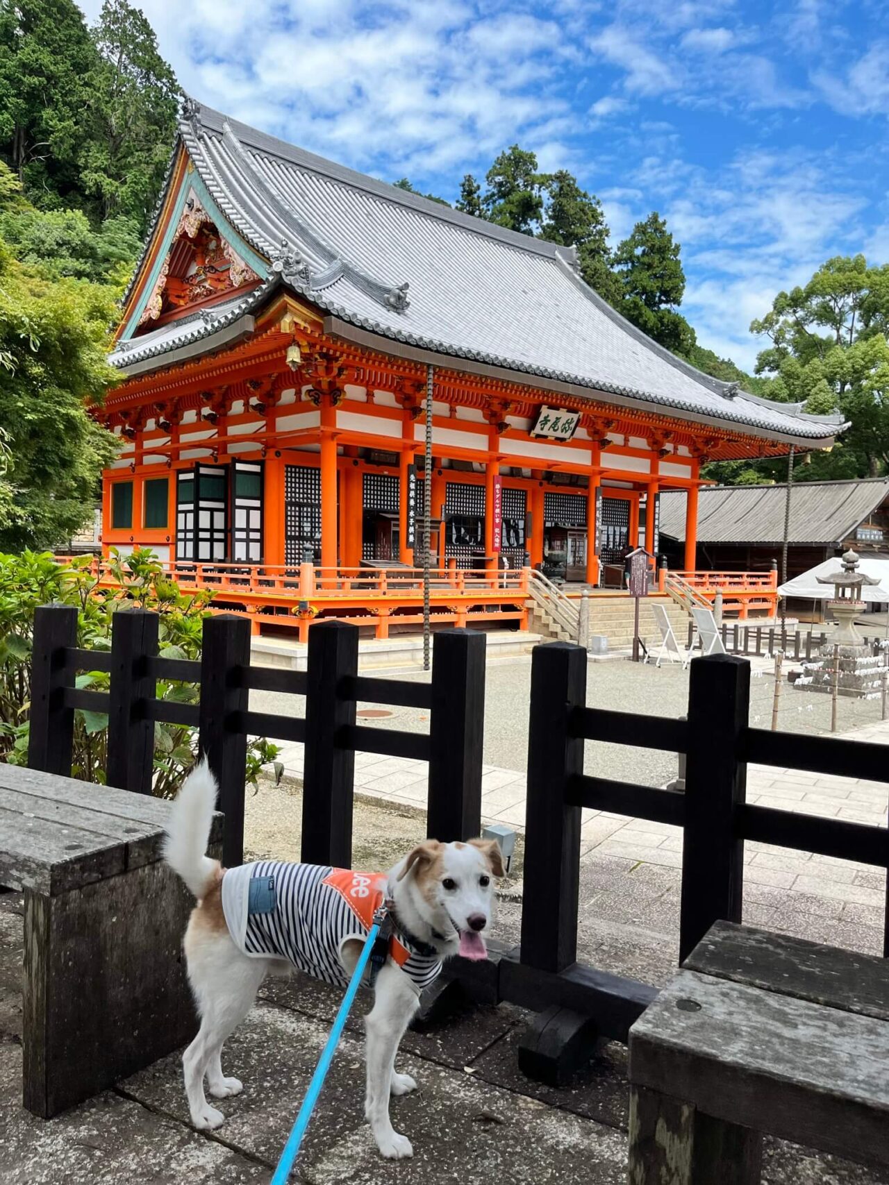 箕面勝尾寺