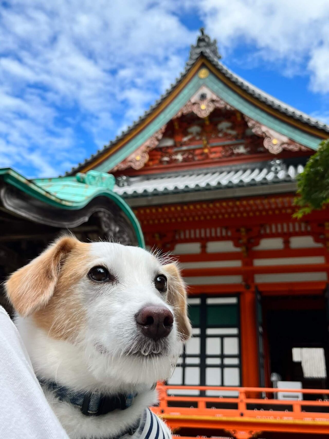 箕面勝尾寺