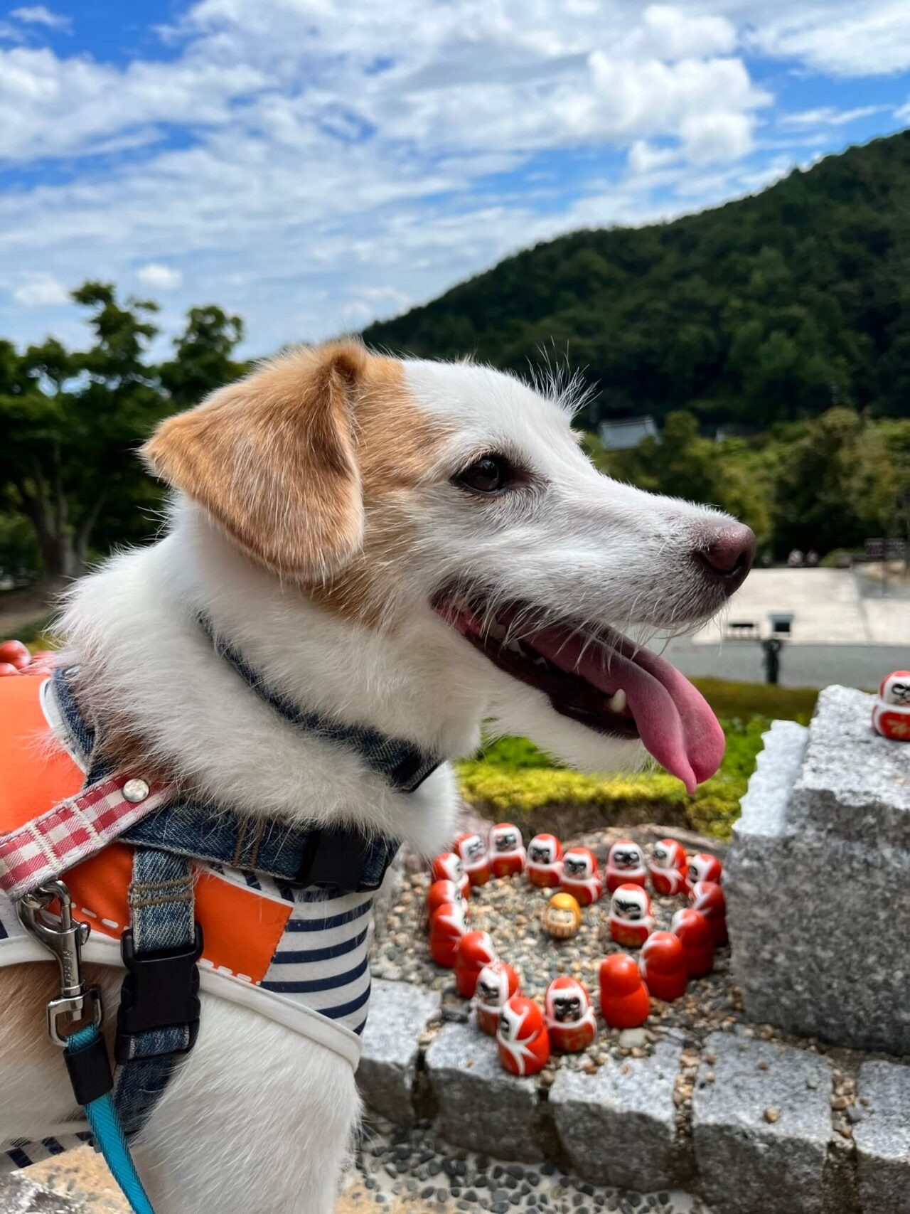 箕面勝尾寺