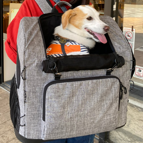 中型犬キャリーバッグ