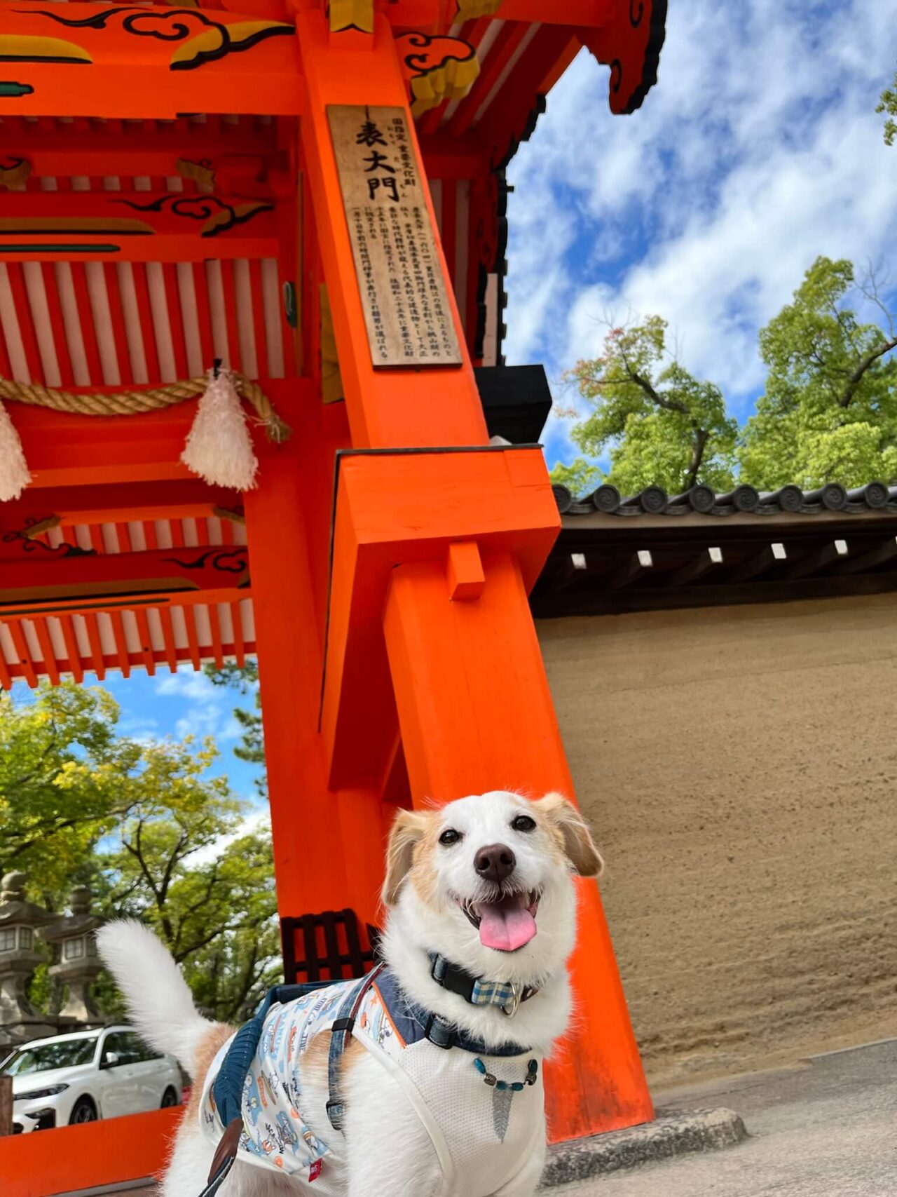 西宮神社犬