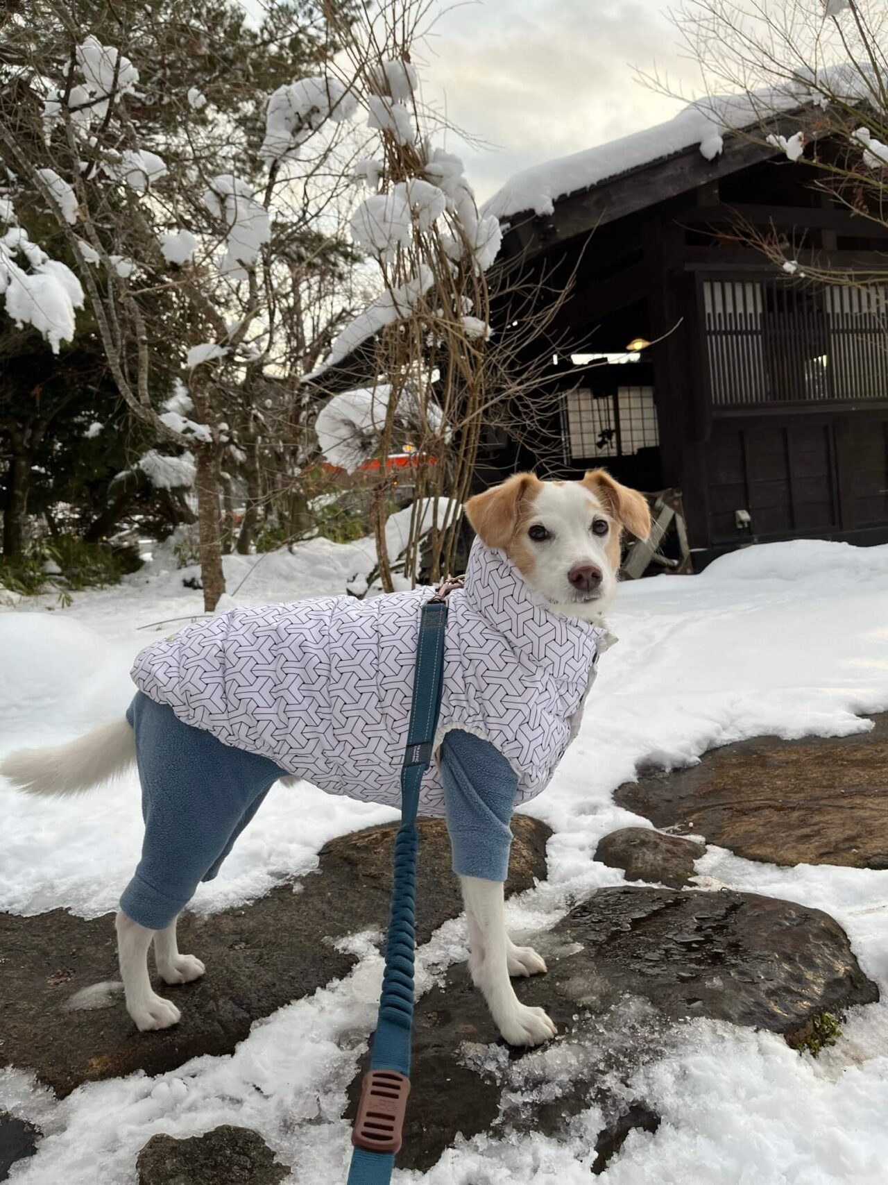 じねんのむら飛騨高山店