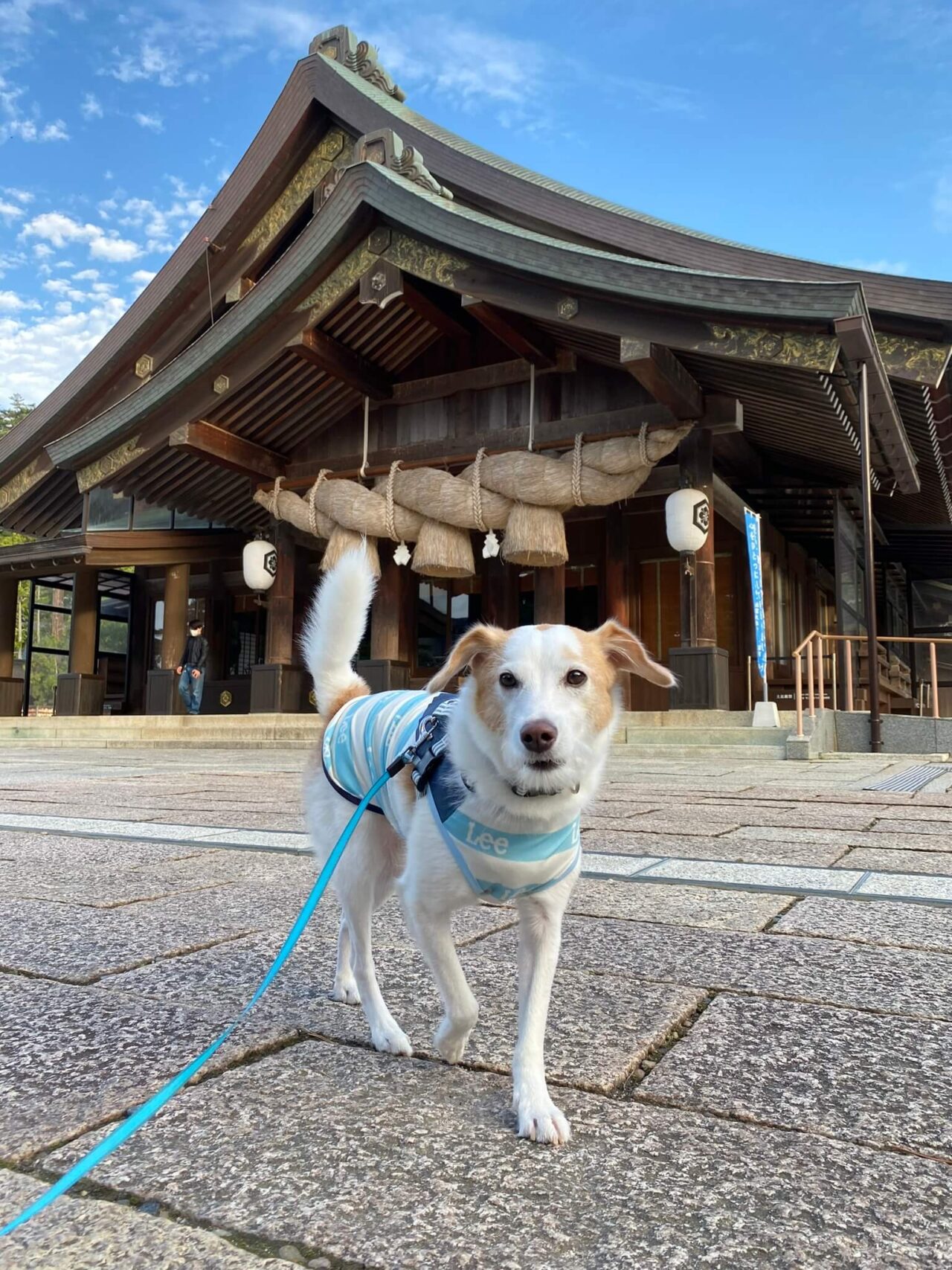 出雲大社拝殿犬