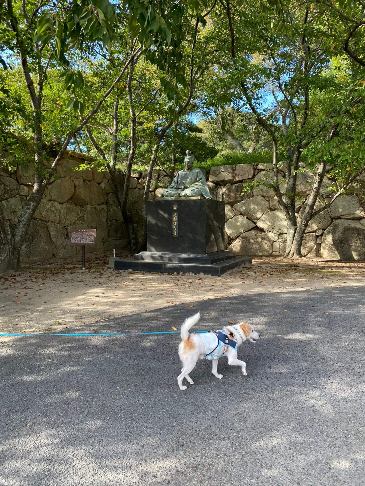 萩城跡指月公園犬