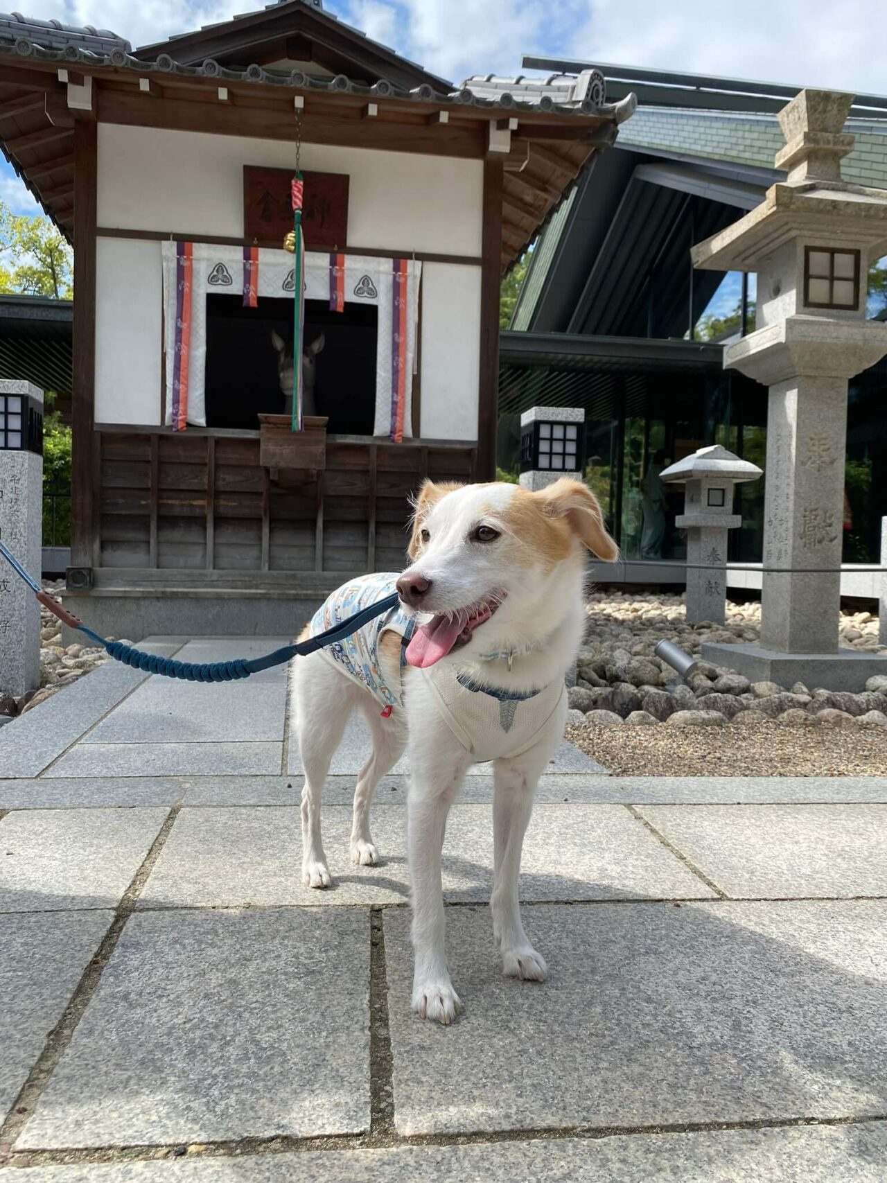 西宮神社神馬舎