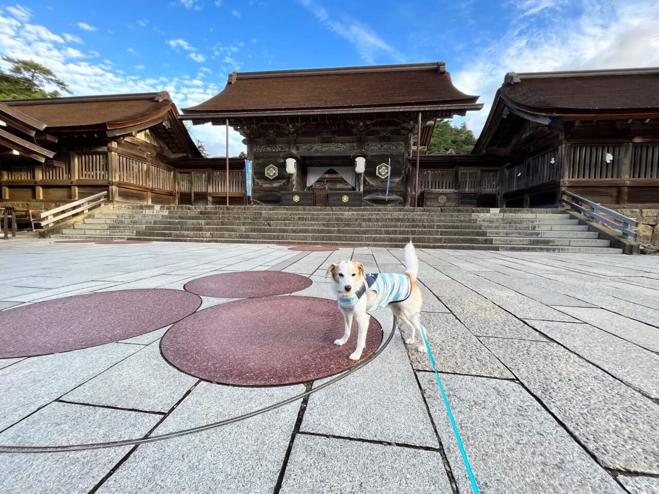 出雲大社八足門犬