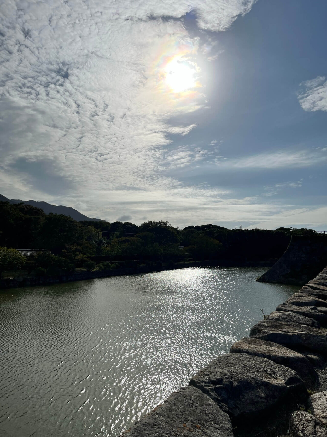 萩城跡指月公園犬