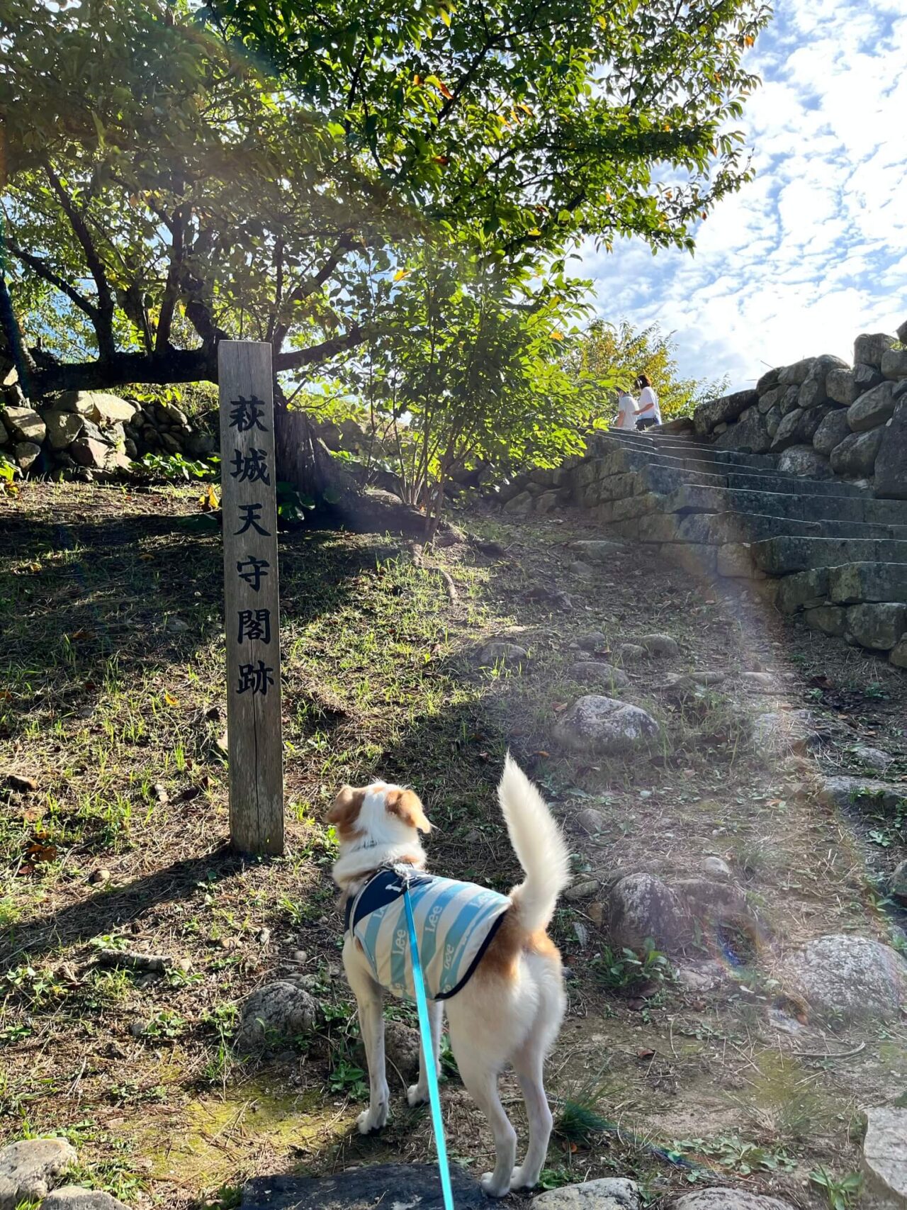 萩城天守閣跡犬