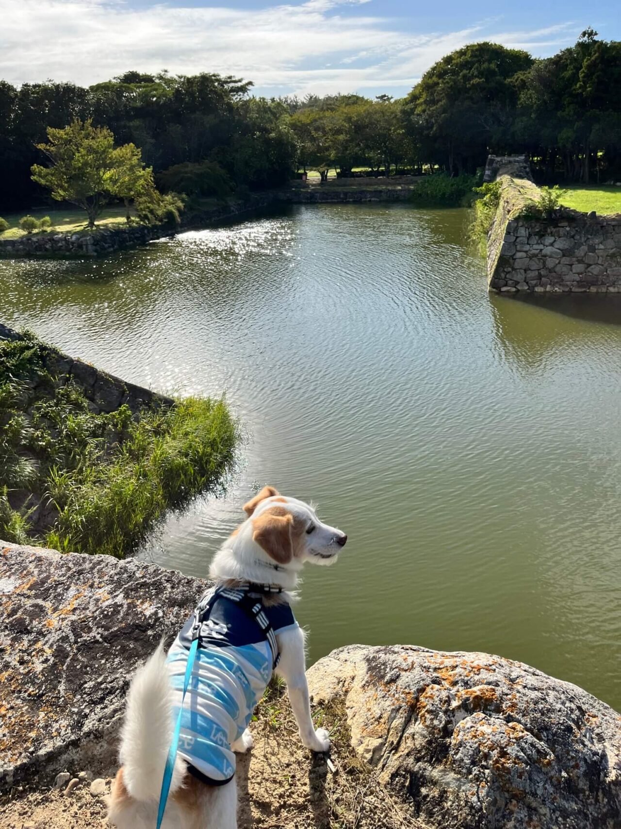 萩城跡指月公園