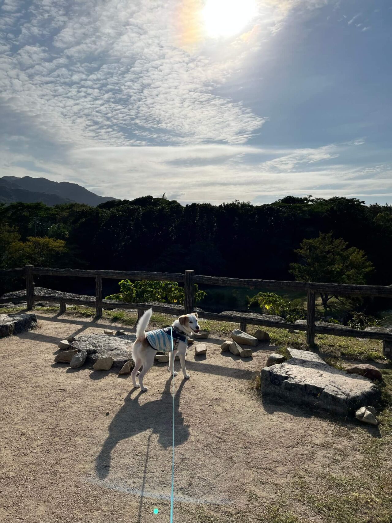 萩城天守閣跡犬