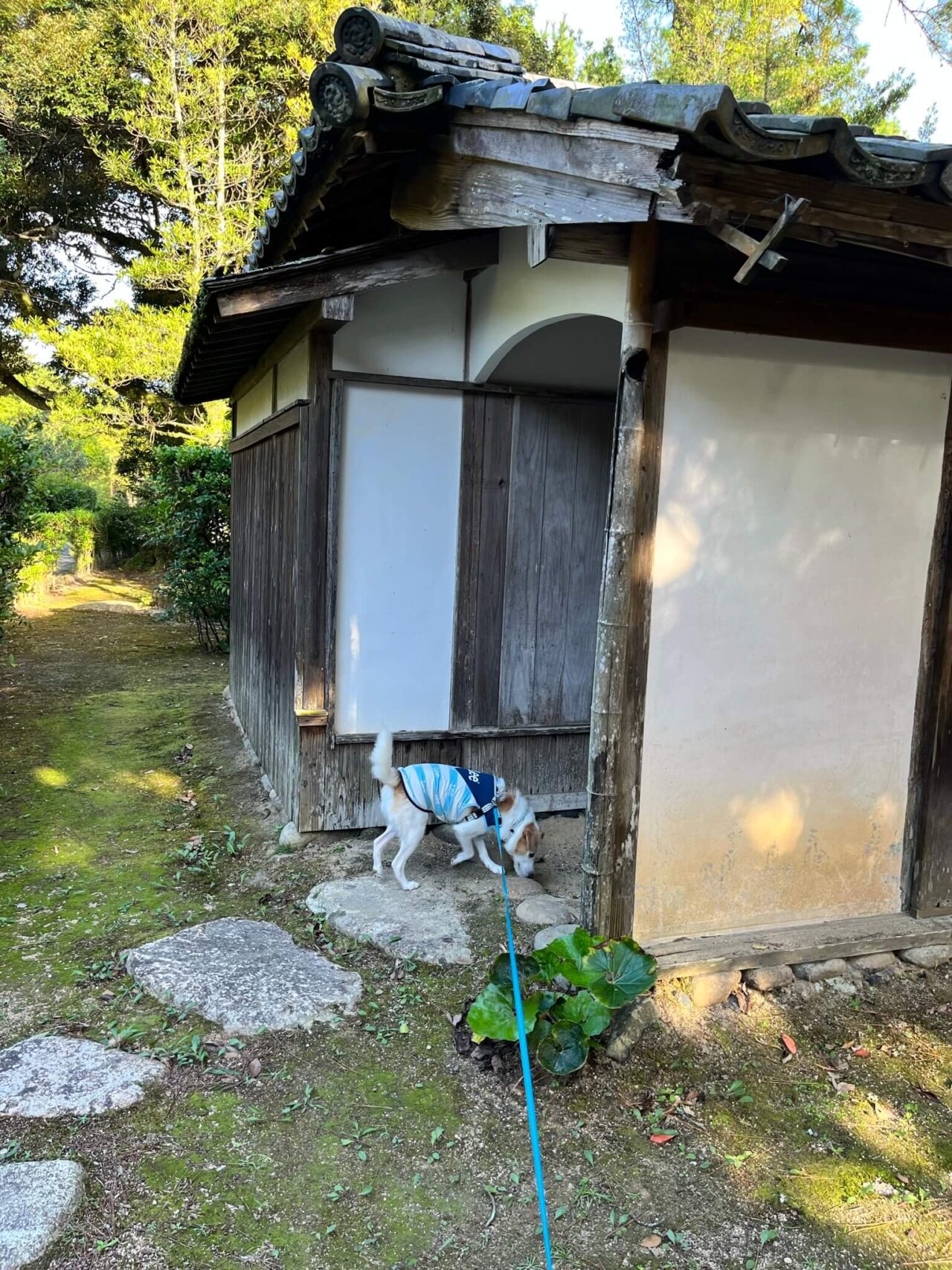 旧梨羽家茶室・花江茶亭・犬