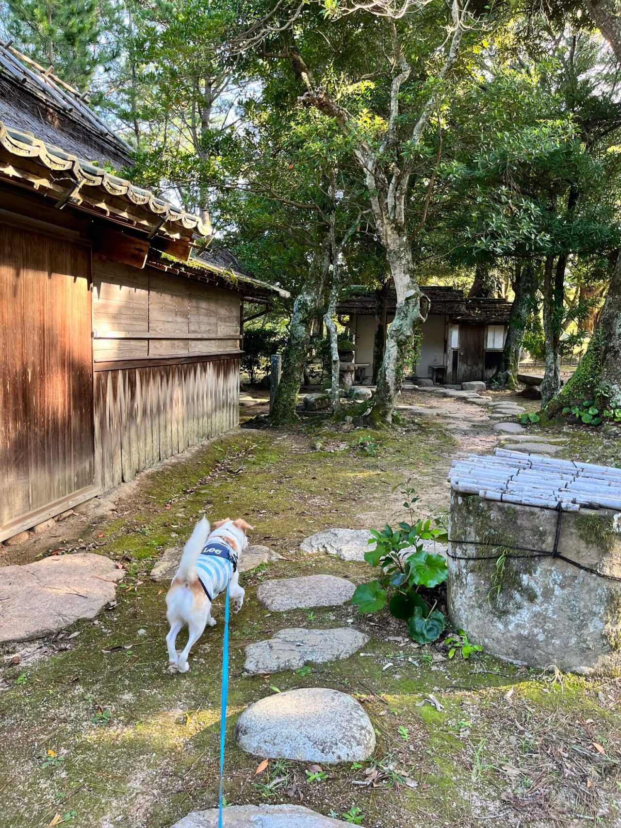 旧梨羽家茶室・花江茶亭・犬