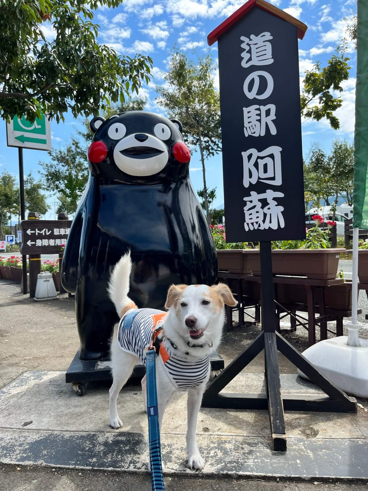 道の駅阿蘇