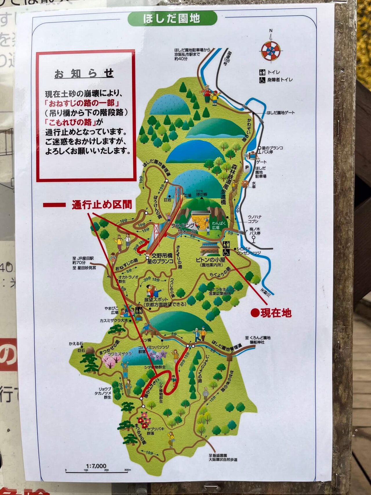 府民の森 ほしだ園地MAP