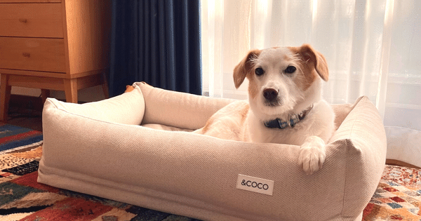 犬用ベッド