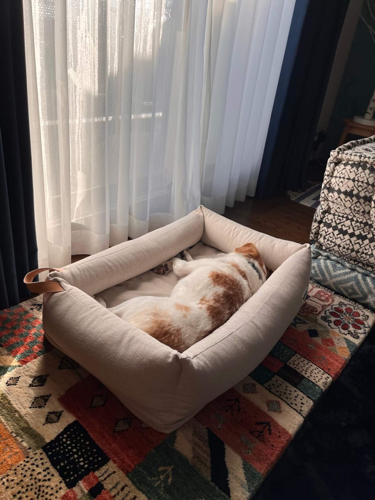 ＆COCO犬用ベッド