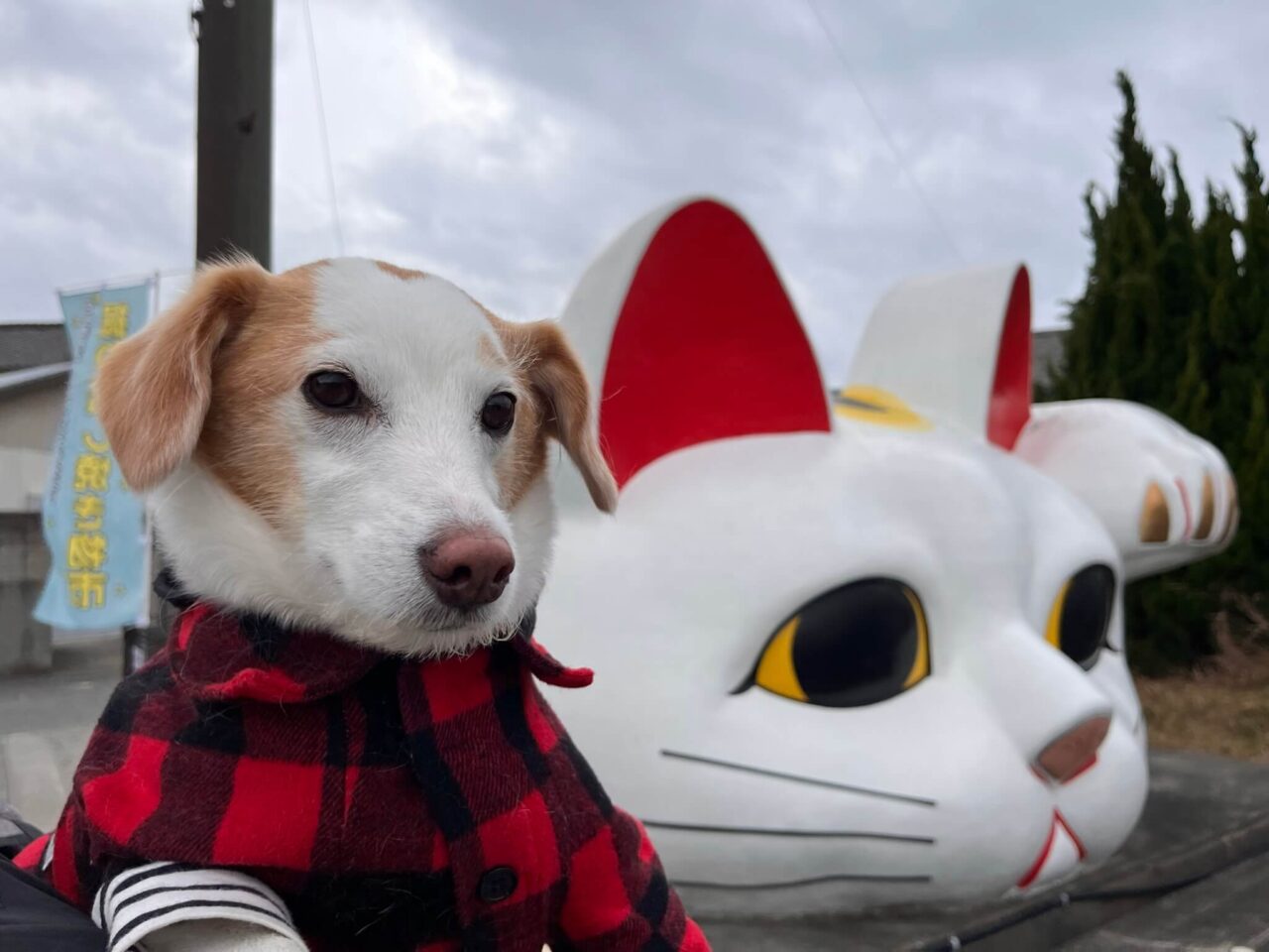 とこなめ見守り猫「とこにゃん」