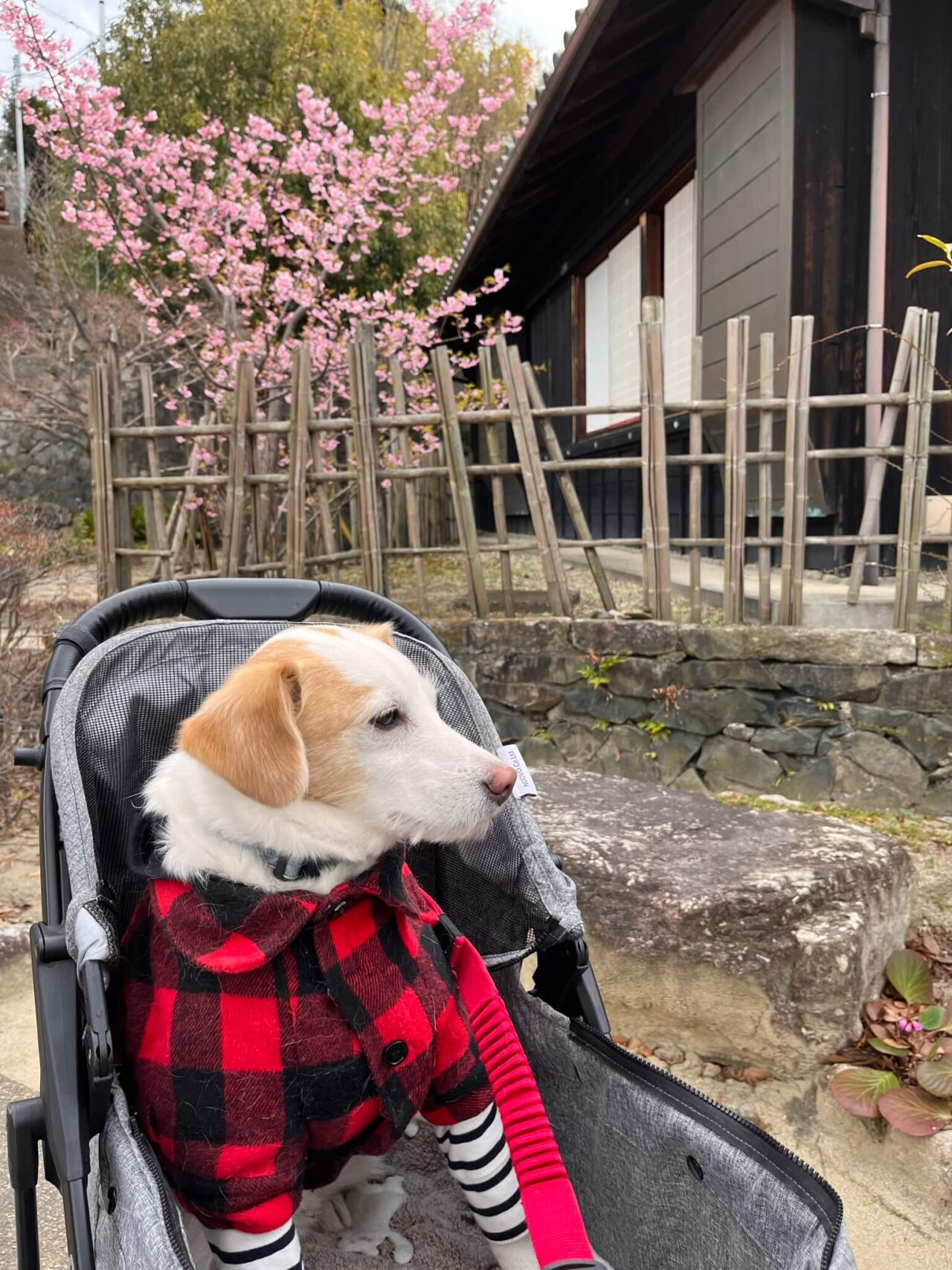 廻船問屋 瀧田家