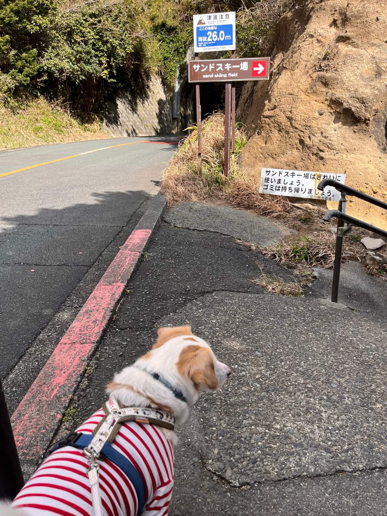 田牛サンドスキー場