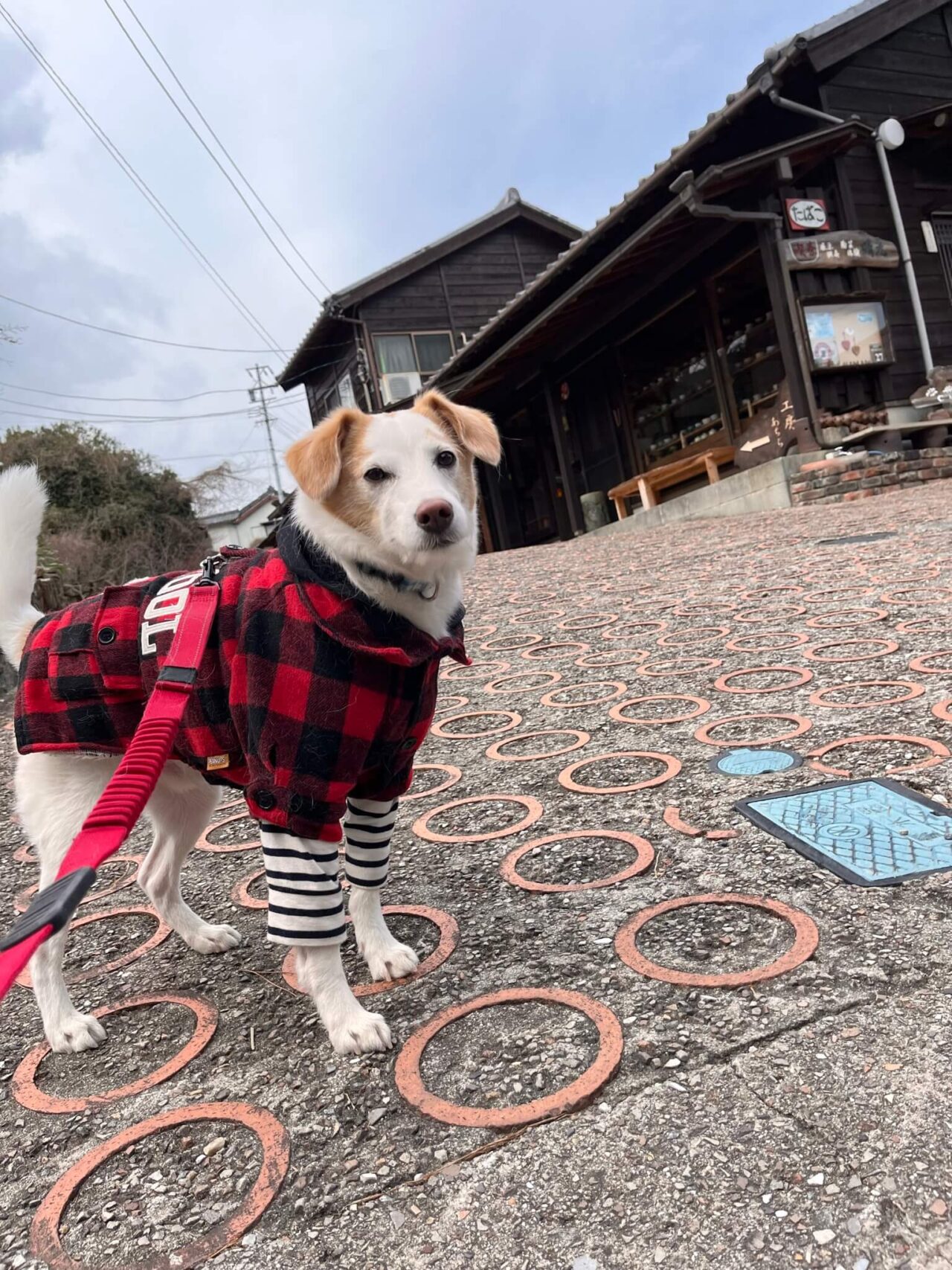 やきもの散歩道