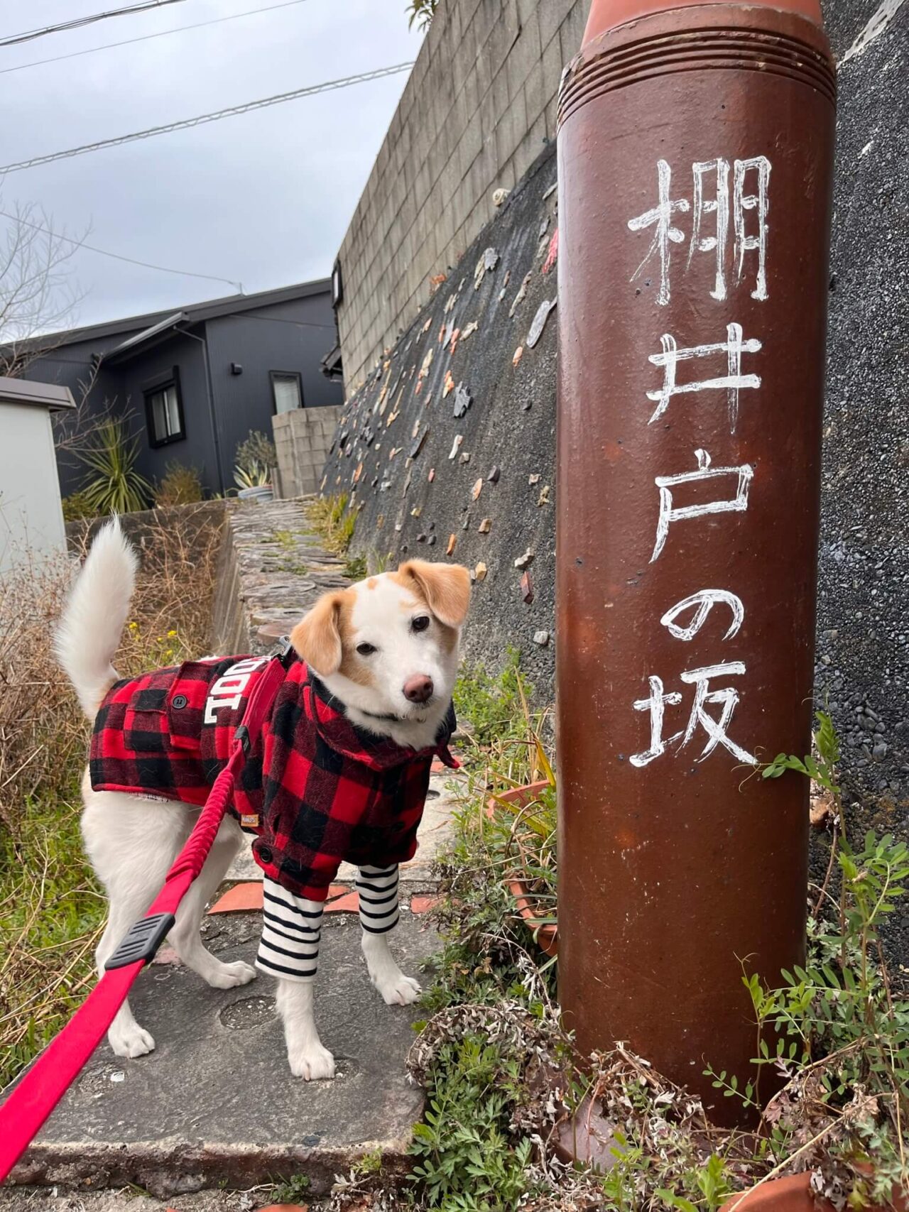 やきもの散歩道