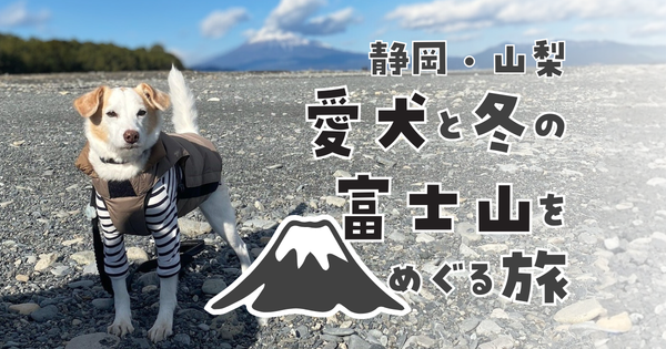 愛犬と冬の富士山をめぐる旅