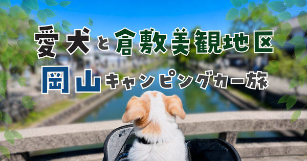 倉敷美観地区の橋の上から川沿いの街並みを眺める愛犬
