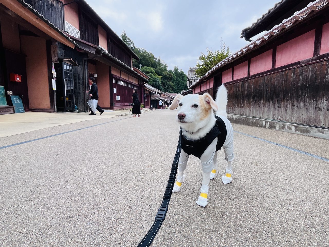 岡山　拭きふるさと村