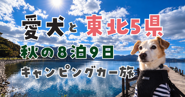 東北5県｜愛犬と巡る秋の東北8泊9日キャンピングカー旅
